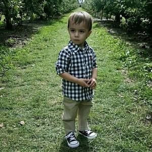 Meet your Posher, Rose